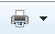 the print button as it appears in IE7